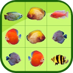 问鼎app送注册金